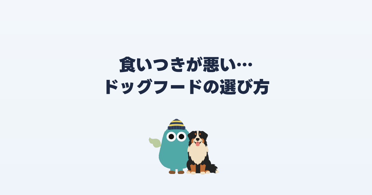食いつきの良いドッグフードとは？選び方のポイント