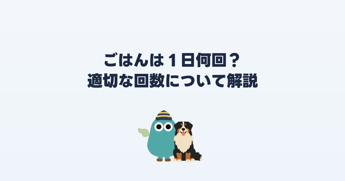 ドッグフードは1日何回与える？適切な回数と目安
