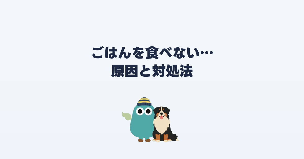ドッグフードを食べない理由と対処法